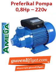 AMEGA TM 80 0.8hp 220v Preferikal Sürtme Fanlı Pompa