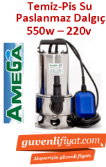 AMEGA İNTOX 550 550w 220v Paslanmaz Gövdeli Dalgıç Pompa