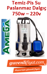 AMEGA İNTOX 750 750w 220v Paslanmaz Gövdeli Dalgıç Pompa