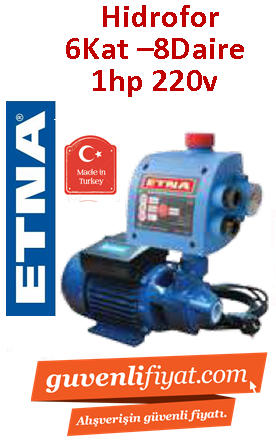 ETNA MİNİ-HİDRO-2 1Hp 220v Hidromatlı Paket Hidrofor (6kat-8daire)