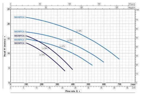 Pedrollo MAGNIFICA 1m     0.75Hp  220V   Ön Filtreli Havuz Pompası