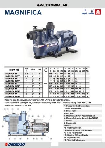 Pedrollo MAGNIFICA 2 m     1Hp  220V   Ön Filtreli Havuz Pompası