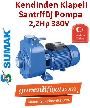 SUMAK DSMT220/2 2.2Hp 380v Kendinden Klapeli Santrifüj Pompa