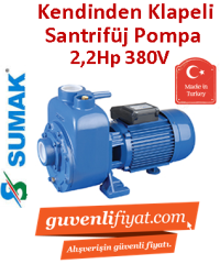 SUMAK DSMT220/2 2.2Hp 380v Kendinden Klapeli Santrifüj Pompa