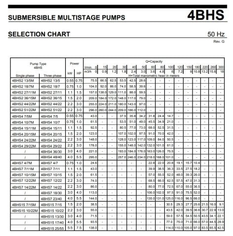 Ebara 4BHS4 20/15   2Hp 380V   4'' Komple Paslanmaz Derinkuyu Dalgıç Pompa (Motor+Pompa)
