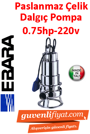 EBARA DW M 75 A  220V 0.75HP Komple Paslanmaz Açık Fanlı Dalgıç Pompa