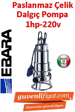 EBARA DW M 100 A  220V 1HP Komple Paslanmaz Açık Fanlı Dalgıç Pompa