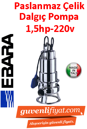 EBARA DW M 150 A 220V 1.5HP Komple Paslanmaz Açık Fanlı Dalgıç Pompa