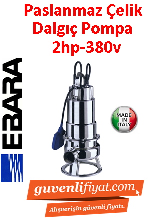 EBARA DW 200 380V 2HP Komple Paslanmaz Açık Fanlı Dalgıç Pompa