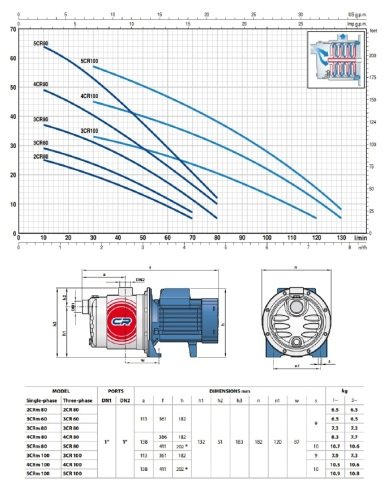 Pedrollo  3CRm 100X    0.75 Hp 220V  Kademeli Jet Pompa