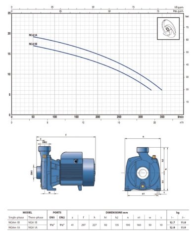 PEDROLLO NGAm 1A    1HP 220V DÖKÜM GÖVDELİ FOSEPTİK SANTRÜFÜJ POMPA