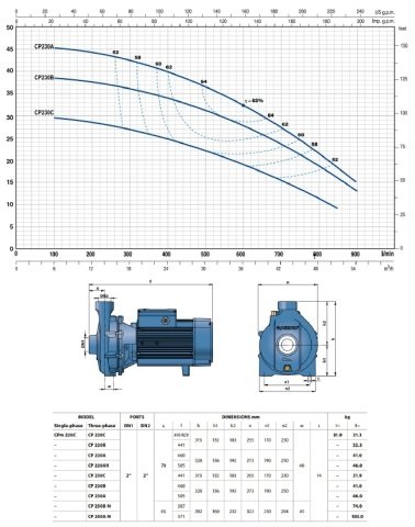 Pedrollo CP 210A (TRF)   5.5Hp 380V   Tek Fanlı Santrifüj Pompa