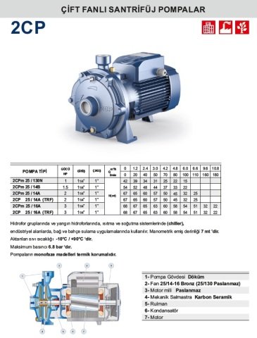 Pedrollo  2CPm 25 / 16A     3Hp 220V  Çift Fanlı Santrifüj Pompa