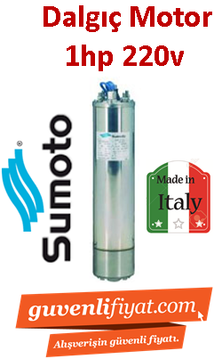 SUMOTO 1HP 220V Elektrik motoru İtalyan Malı (motor)