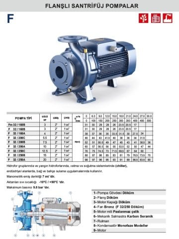 Pedrollo F 32 / 250C    12.5Hp 380V  Flanşlı Santrifüj Pompa