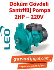 LEO ACm150 2HP 220v Döküm Gövdeli Santrifüj Pompa