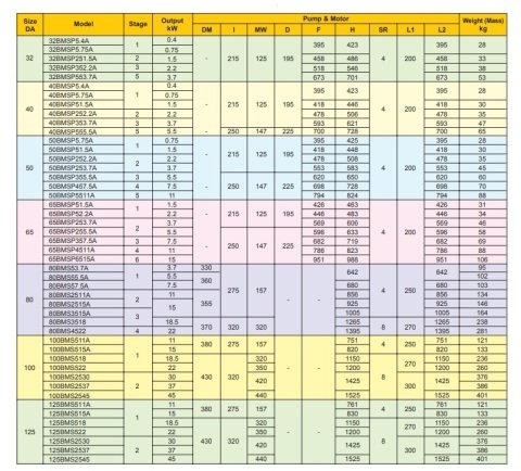 Ebara 32 BMSP251.5A   2Hp 380V  Paslanmaz Çelik Büyük Ölçekli Temiz Su Drenaj Dalgıç Pompa