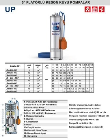 Pedrollo  UPm 4/6-GE    2Hp 220V    5\'\'  Flatörlü Keson Kuyu Dalgıç Pompa