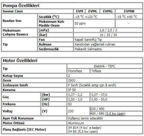 Ebara EVM18  3F5/3.0    4Hp 380V  Dikey Milli Çok Kademeli Paslanmaz Çelik Pompa (AISI 304)