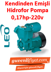 LEO LKSm130 0.17HP 220v Kendinden Emişli Sürtme Fanlı Hidrofor Pompa