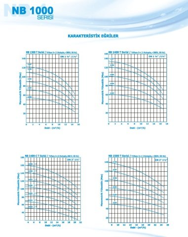 Norm NB 1703 T      11 kW  380V   Düşey Milli Çok Kademeli Santrifüj Pompa
