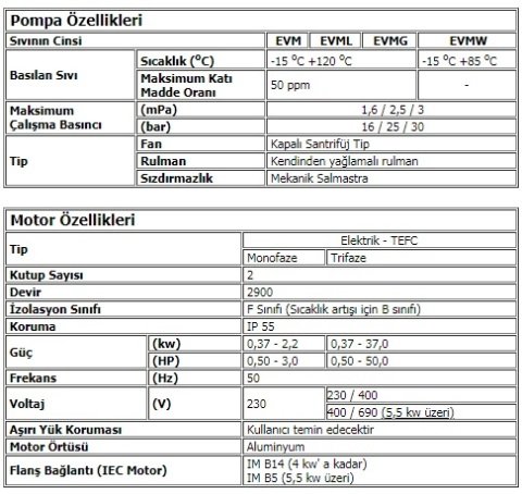 Ebara EVM32  14-3F5/30   40Hp 380V  Dikey Milli Çok Kademeli Paslanmaz Çelik Pompa (AISI 304)