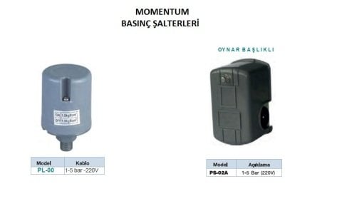MOMENTUM DF-220 -2HP-220V-  OTOMATİK DİJİTAL BASINÇ ŞALTERİ-DURUK ŞALTER