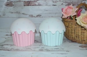 CUPCAKE BÜYÜK BOY SAKLAMA KUTUSU