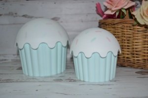 CUPCAKE KÜÇÜK BOY SAKLAMA KUTUSU