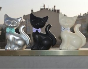 KEDİ BİBLO
