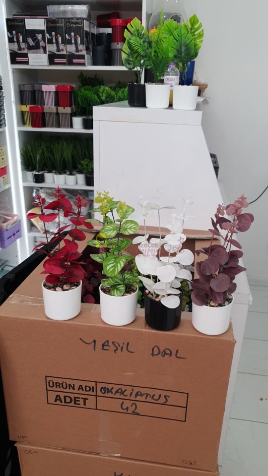 Yeşil Dal Grubu çiçek modelleri Karışık