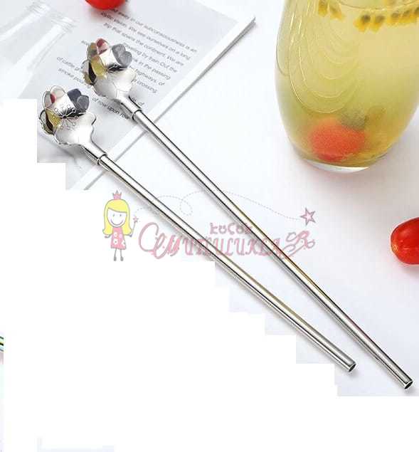 Paslanmaz Metal 2 li Kaşıklı Pipet Fırça Seti