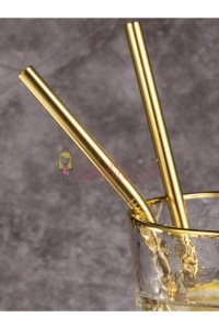 Çelik 2'li Pipet Ve Temizleme Fırçası Gold gumus