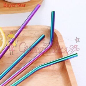 Çelik 2'li Pipet Ve Temizleme Fırçası Rainbow