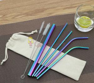 Çelik 2'li Pipet Ve Temizleme Fırçası Rainbow