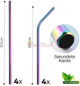 Çelik 2'li Pipet Ve Temizleme Fırçası Rainbow