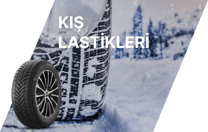 kışlastiği