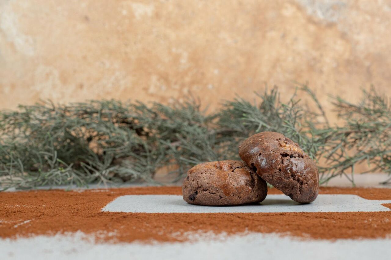 Çay Saatinde Muhteşem Atıştırmalık: Kakaolu Yulaflı Kurabiye