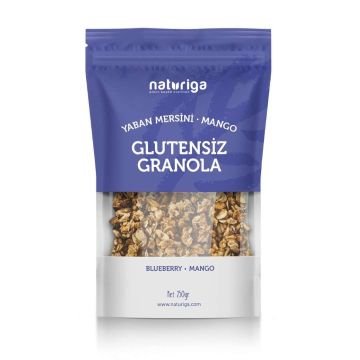 Glutensiz Yaban mersini & Mango Granola(250 gr)