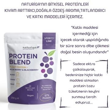 Berry Protein Karışımı(Berry Protein) 250gr