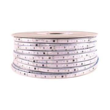 Ack 220 Volt Şerit Led 6500K