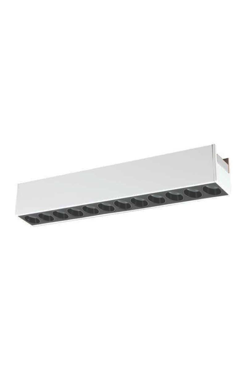 Cortez Magnetic Spot 24W Cata CT-5811
