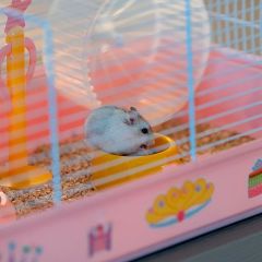 Ferplast Criceti 9 Princess Prenses Temalı Hamster Kafesi