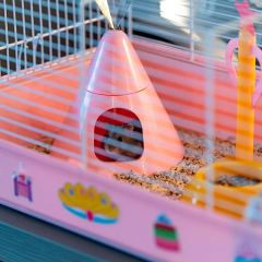 Ferplast Criceti 9 Princess Prenses Temalı Hamster Kafesi