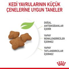 Royal Canin Kitten Sterilised Kısır Yavru Maması 2 Kg