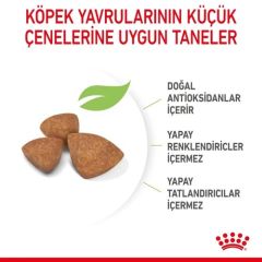 Royal Canin Xsmall Puppy Yavru Köpek Maması 3 Kg