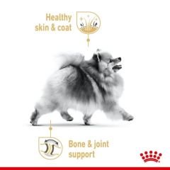 Royal Canin Pomeranian Adult Yetişkin Köpek Maması 3 Kg