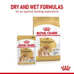 Royal Canin Pomeranian Adult Yetişkin Köpek Maması 3 Kg