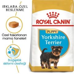 Royal Canin Yorkshire Terrier Junior Yavru köpek Maması 1,5 Kg