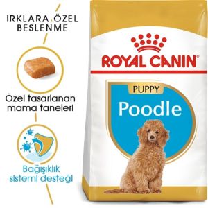 Royal Canin Poodle Junior Yavru Köpek Maması 3 Kg